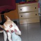 Lola jugando con mi pie
